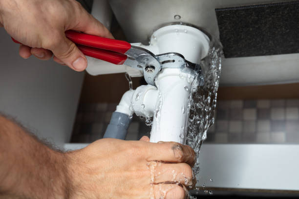 Best Carpet water damage restoration  in Platteville, WI