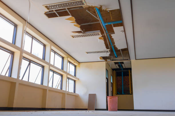 Best Flood restoration services  in Platteville, WI