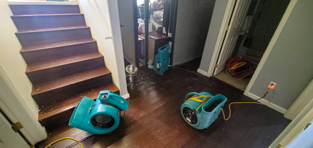 Best Commercial water damage restoration  in Platteville, WI