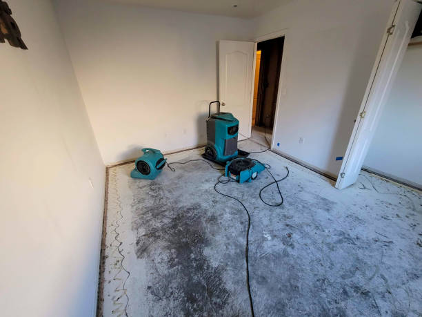 Water damage restoration mold remediation in Platteville, WI