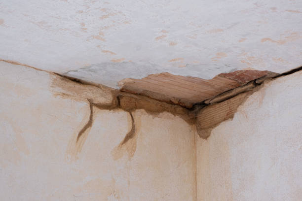 Best Water damage restoration services  in Platteville, WI