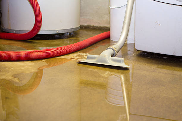 Best Professional water damage repair  in Platteville, WI