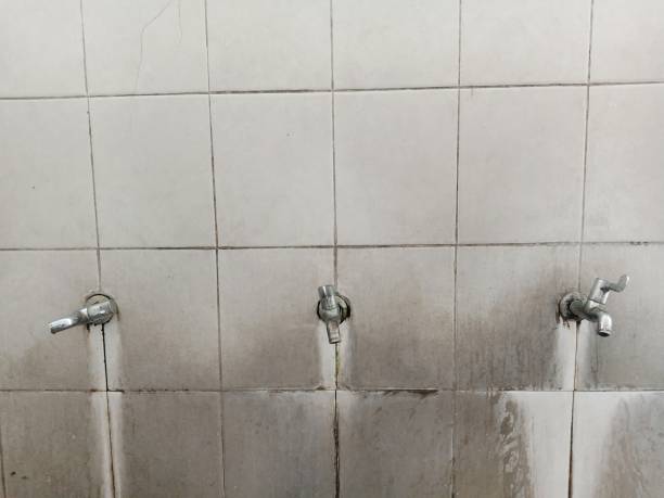Best Water damage restoration near me  in Platteville, WI