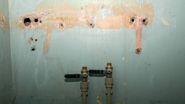 Best Flood damage cleanup  in Platteville, WI