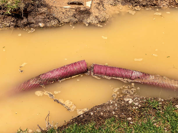 Best Sewage cleanup and water damage restoration  in Platteville, WI